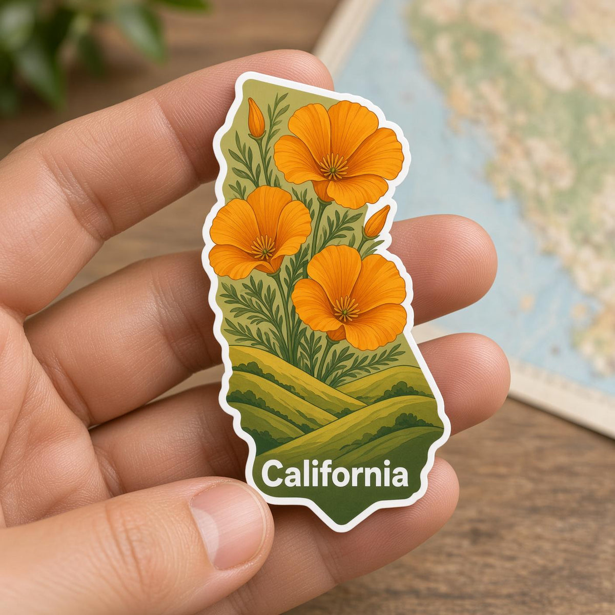 US State Stickers, Alaska California Map Decals, Laptop Journal Water Bottle